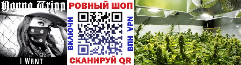 Хочу наркоту Биробиджан Конопля  Alpha-PVP  ГАШ  МЕГА ТОР  Cocaine 