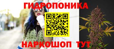 a pvp Кунгур