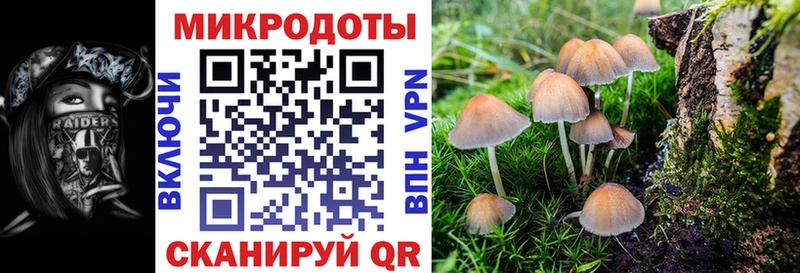Псилоцибиновые грибы Cubensis  blacksprut онион  Биробиджан  купить  цена 